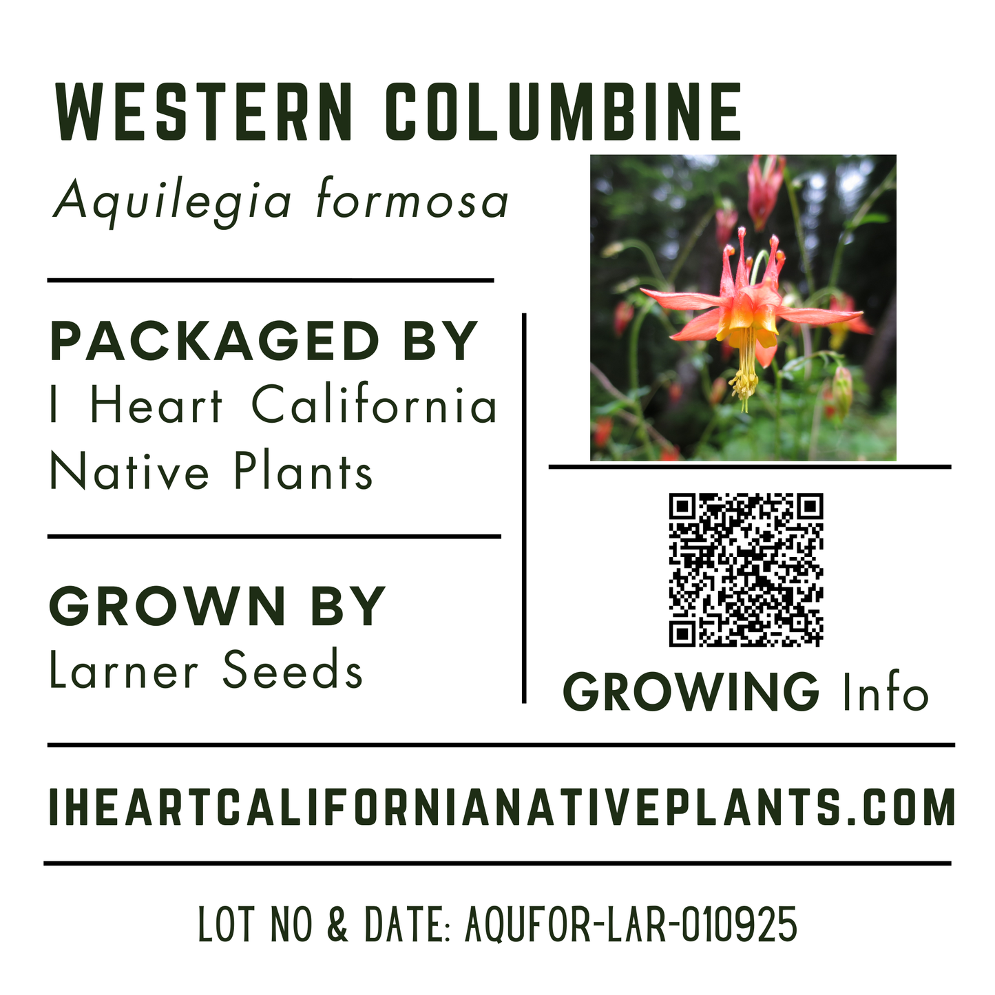 Western Columbine (Aquilegia formosa)