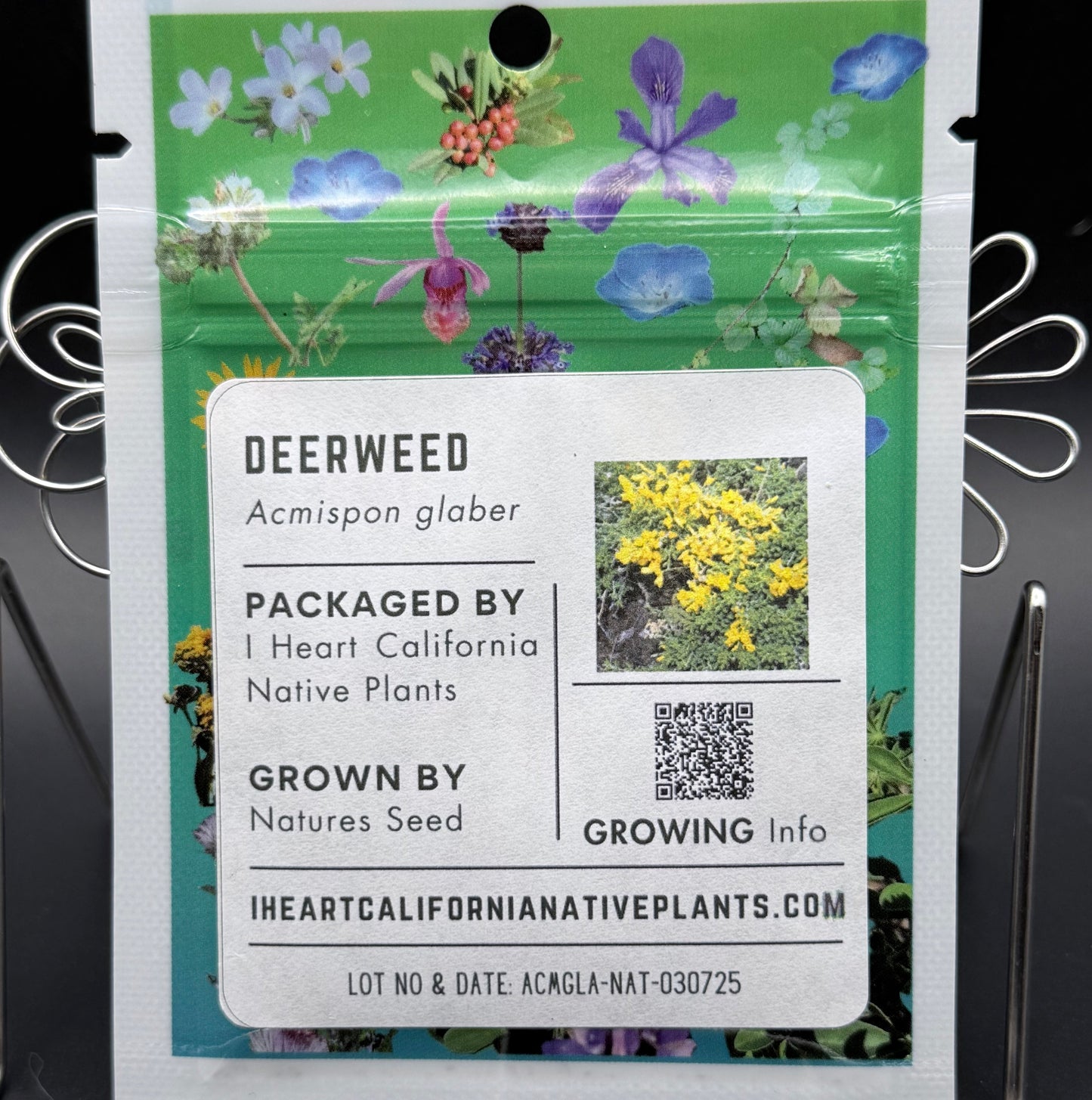 Acmispon glaber - Deerweed
