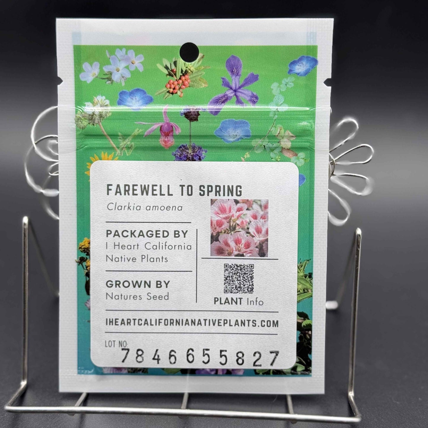 Clarkia amoena - Farewell to Spring