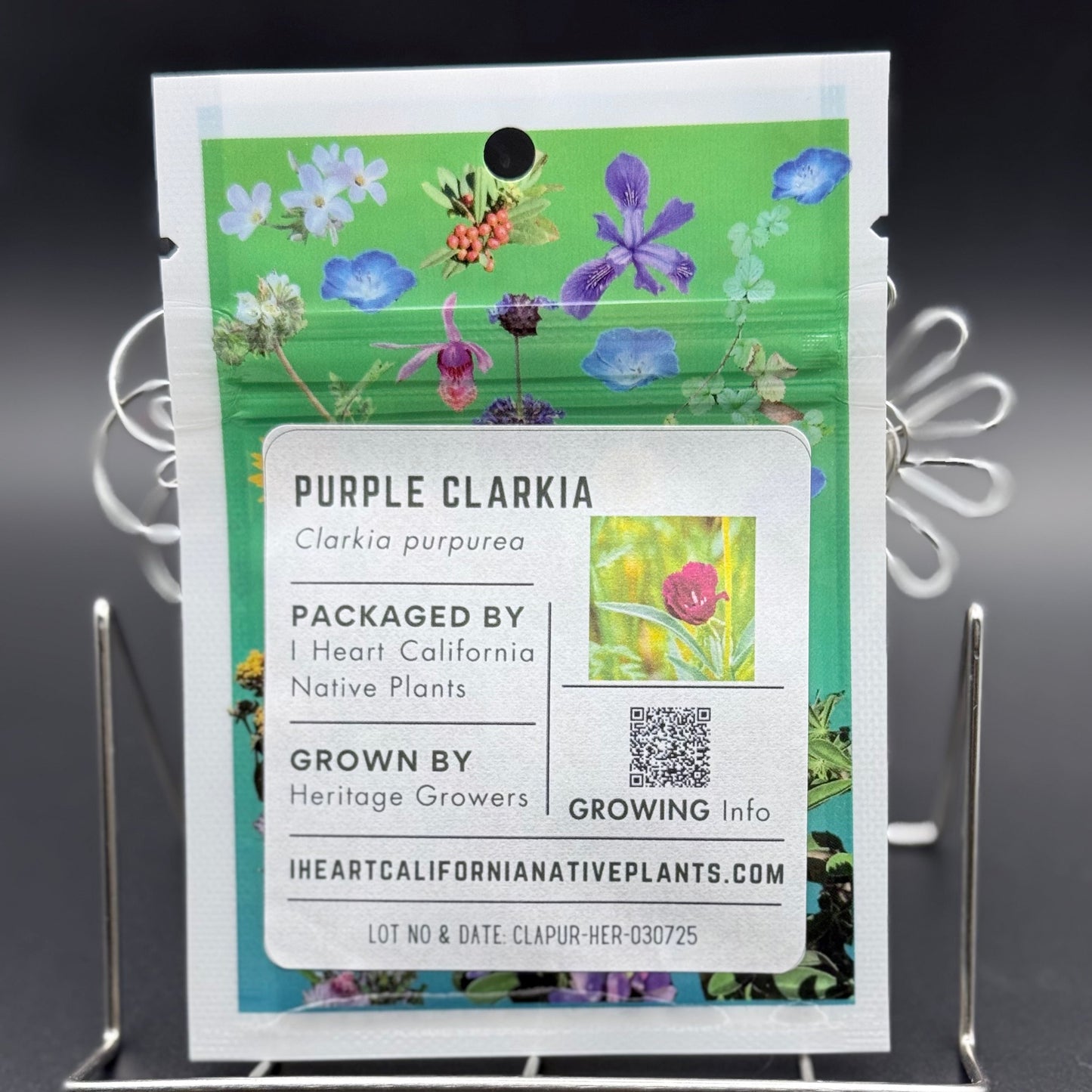 Clarkia purpurea - Purple clarkia