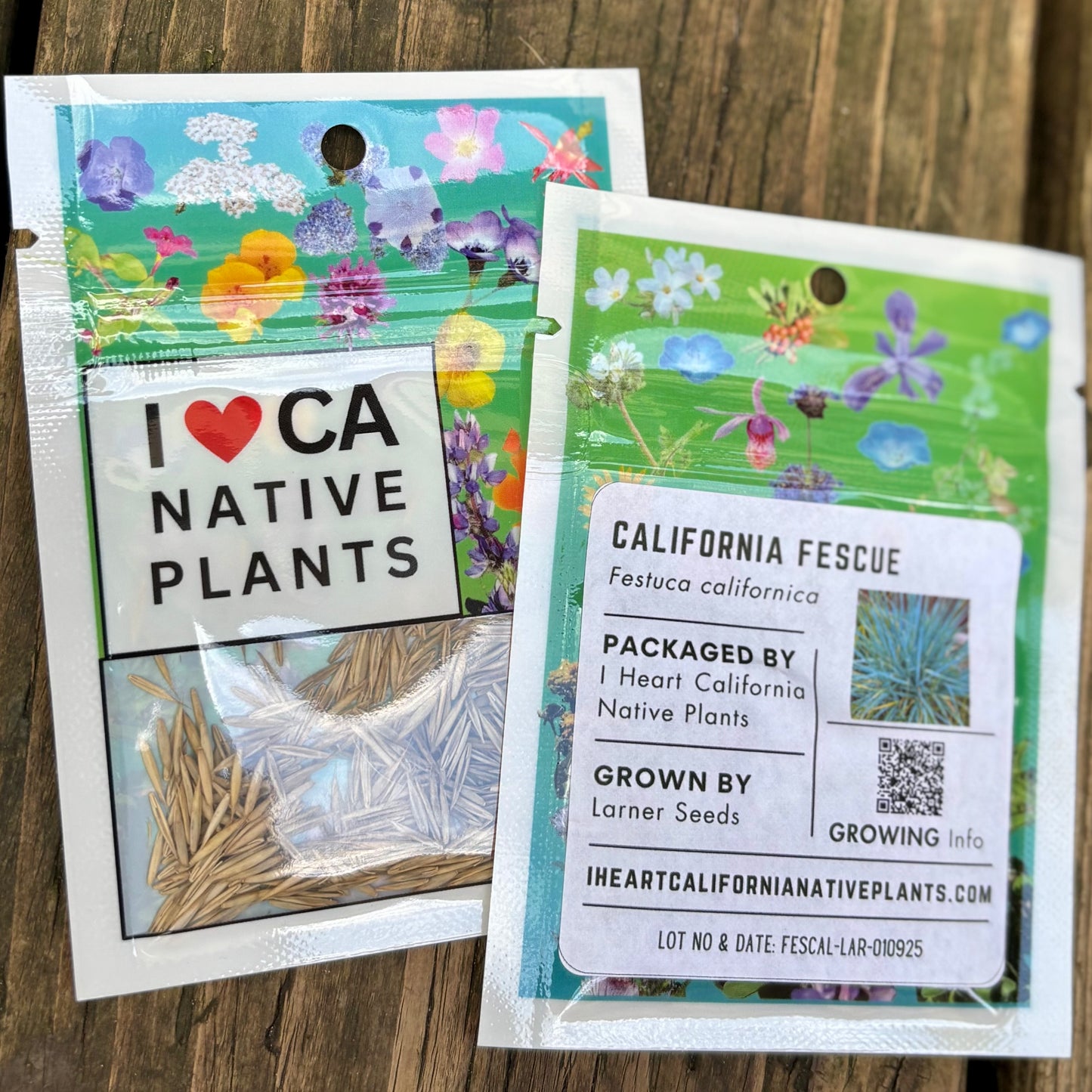 California Fescue (Festuca californica)