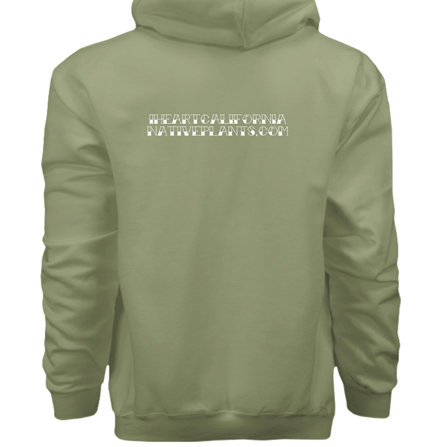 Oregano - F170 - BACK