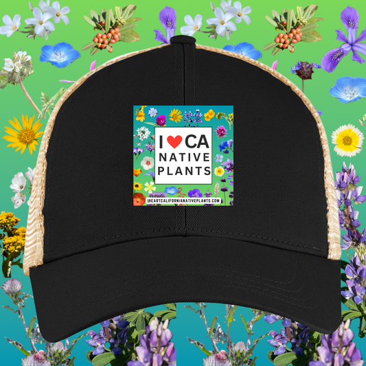 Logo trucker hat