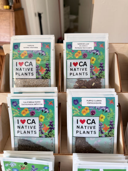 Retail display for 16 species (no seed packets included)
