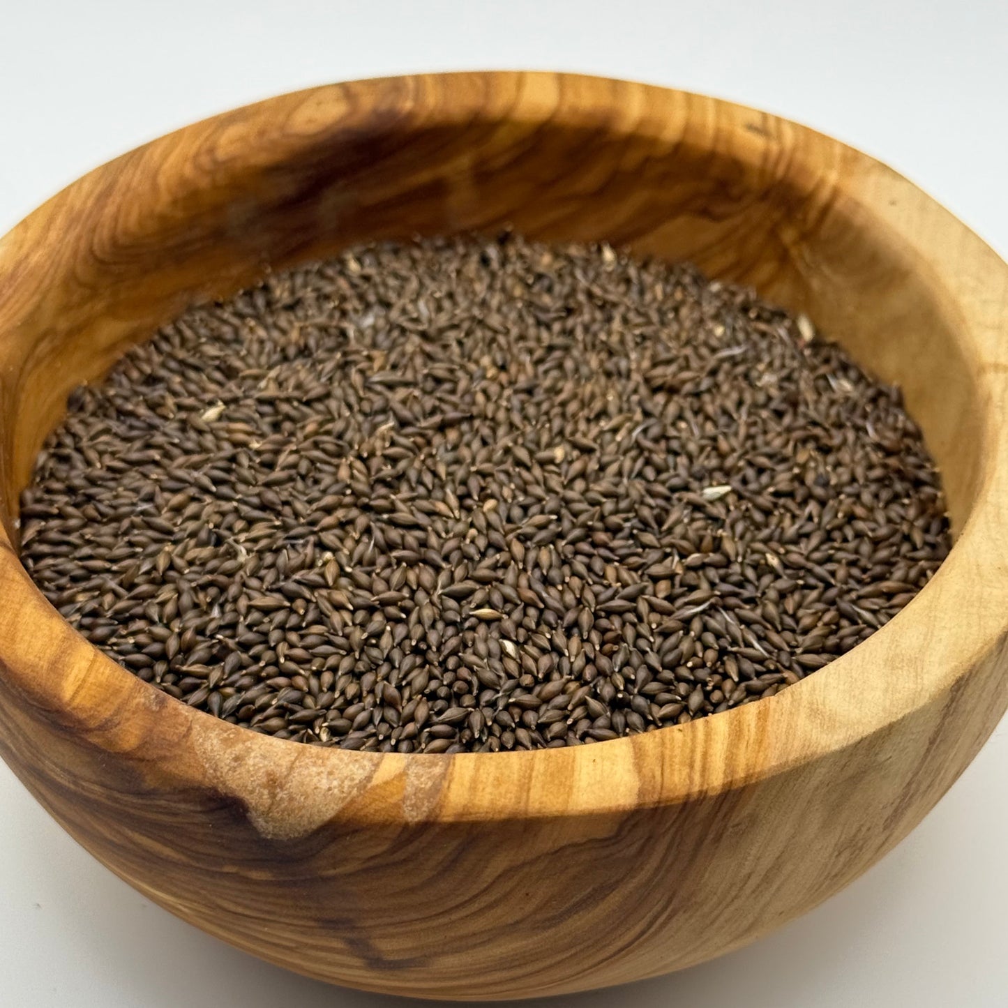 Stipa hymenoides - Indian Ricegrass