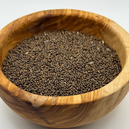 Stipa hymenoides - Indian Ricegrass