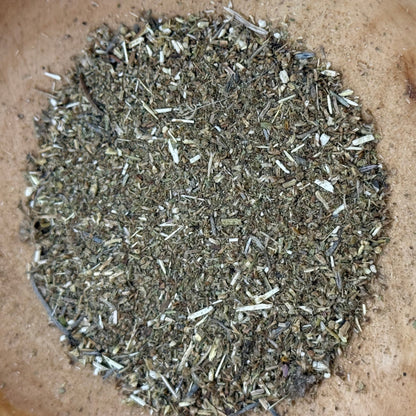 Artemisia douglasiana - California Mugwort