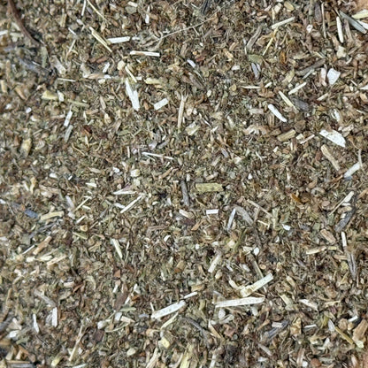 Artemisia douglasiana - California Mugwort