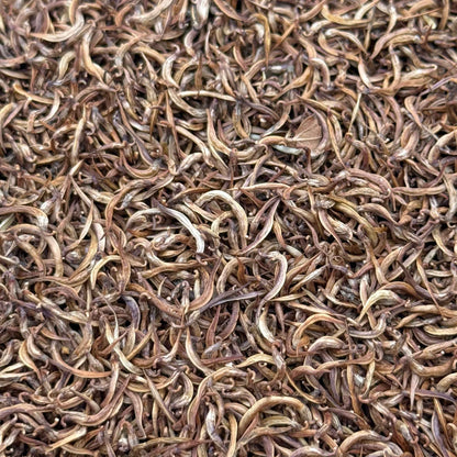 Acmispon glaber - Deerweed seed closeup