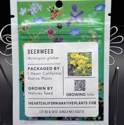 Acmispon glaber - Deerweed seed packets