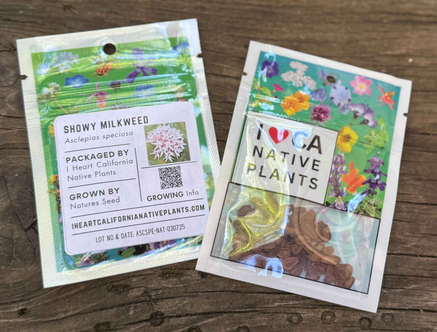 Asclepias speciosa - Showy Milkweed seed packets