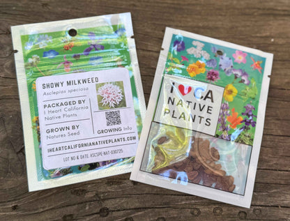 Asclepias speciosa - Showy Milkweed seed packets