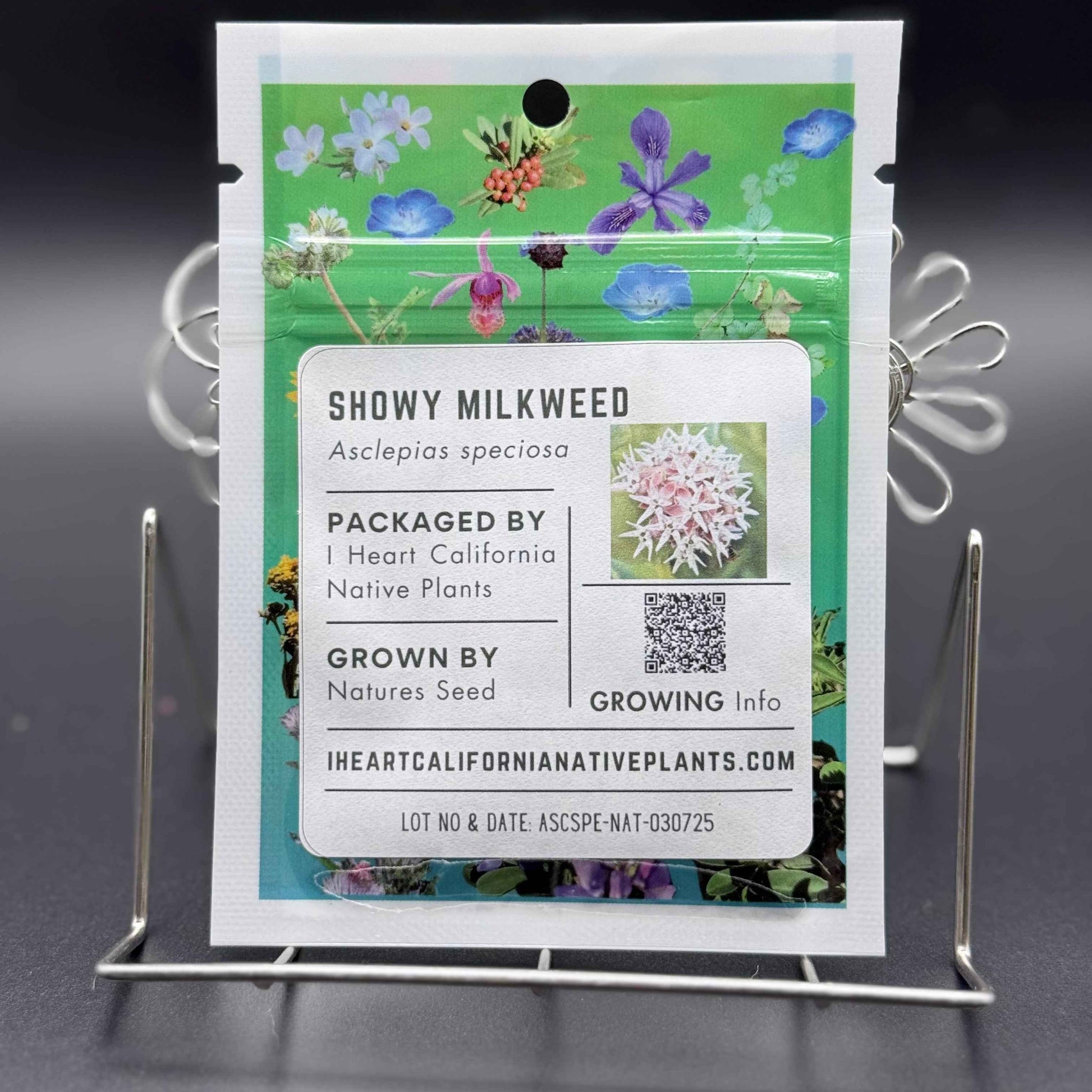 Asclepias speciosa - Showy Milkweed seed packets