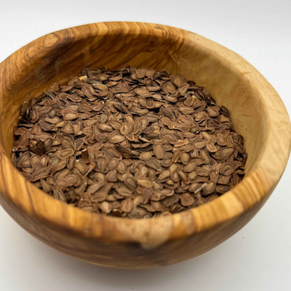 Asclepias speciosa - Showy Milkweed seeds