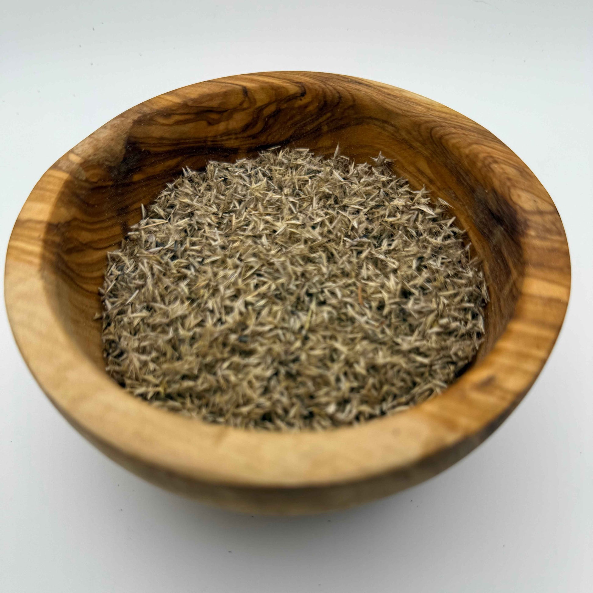 Bouteloua gracilis - Blue Grama seeds
