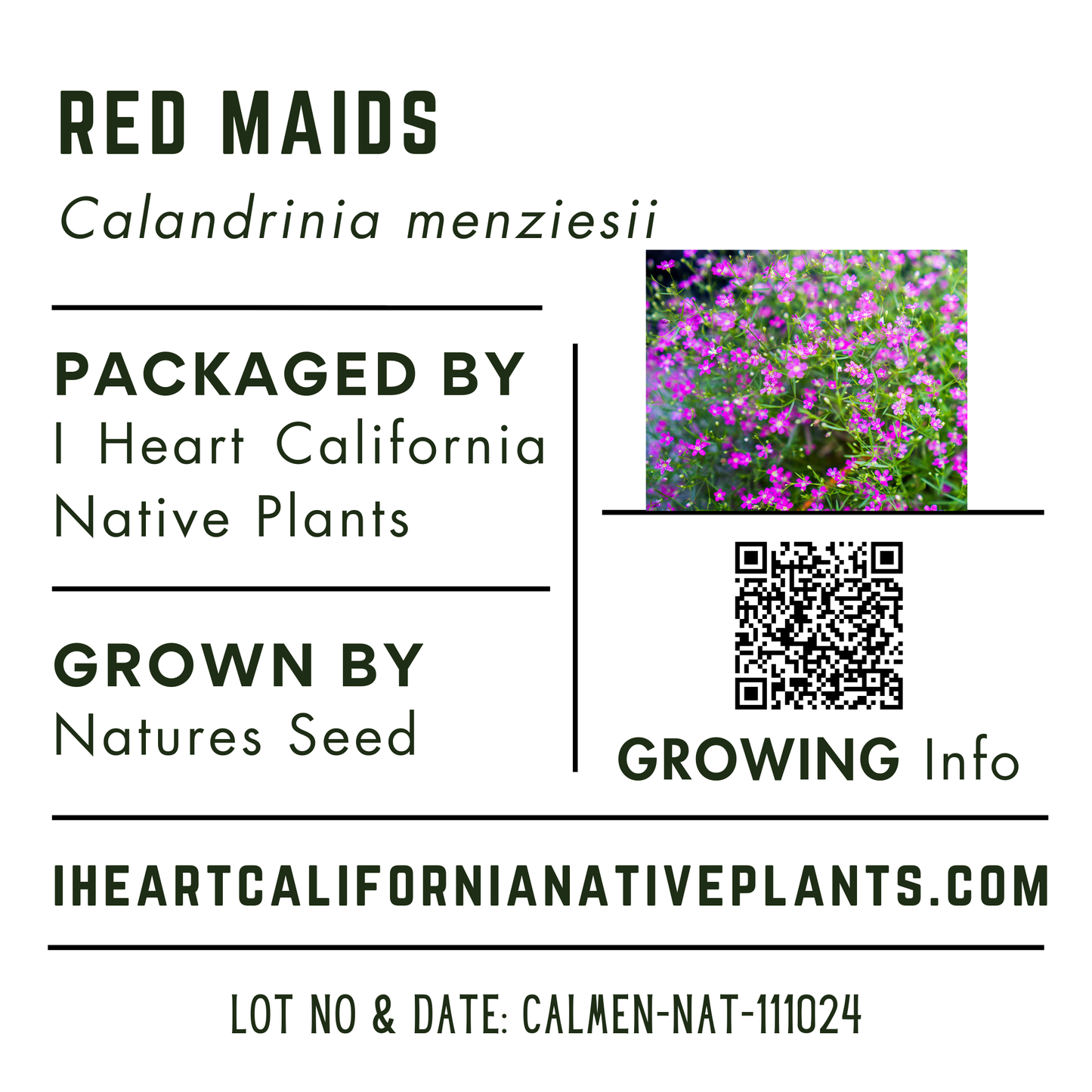 Redmaids (Calandrinia menziesii)