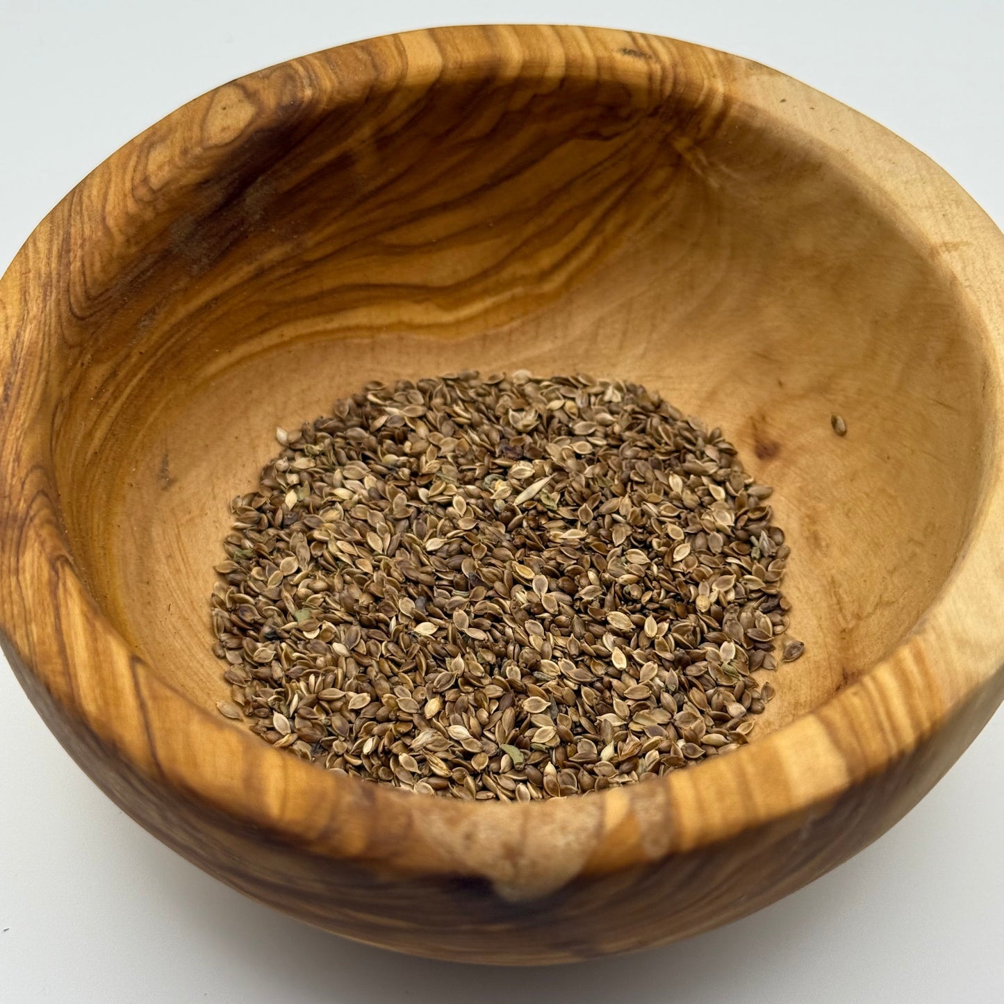 Carex praegracilis - Slender Sedge