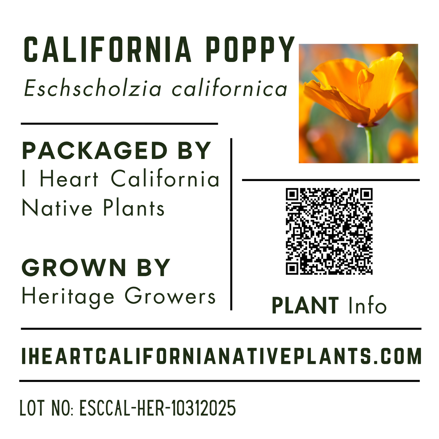 Eschscholzia californica - California Poppy