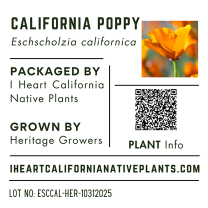 Eschscholzia californica - California Poppy