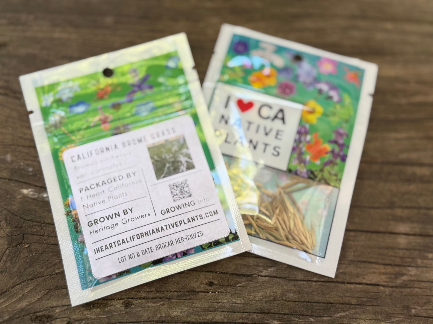 California Brome (Bromus sitchensis var. carinatus)