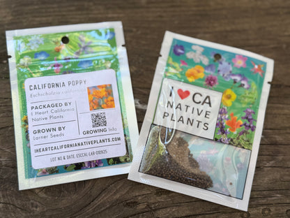 California Poppy (Eschscholzia californica)