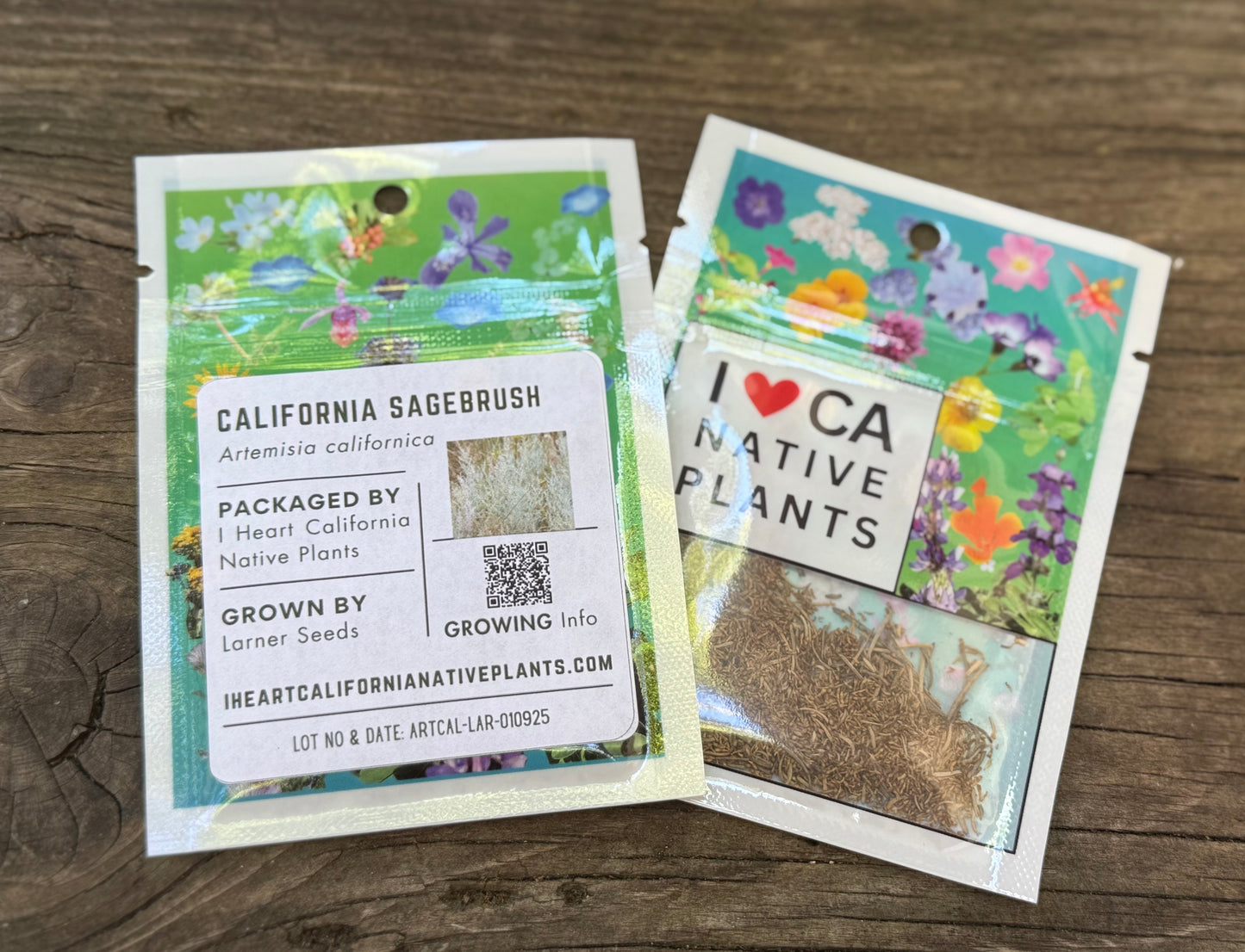 California Sagebrush (Artemisia californica)