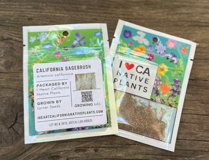 California Sagebrush (Artemisia californica)