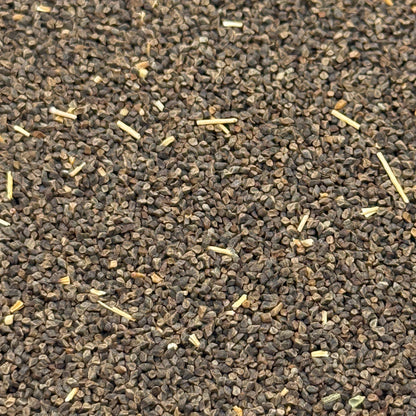 Clarkia purpurea - Purple clarkia