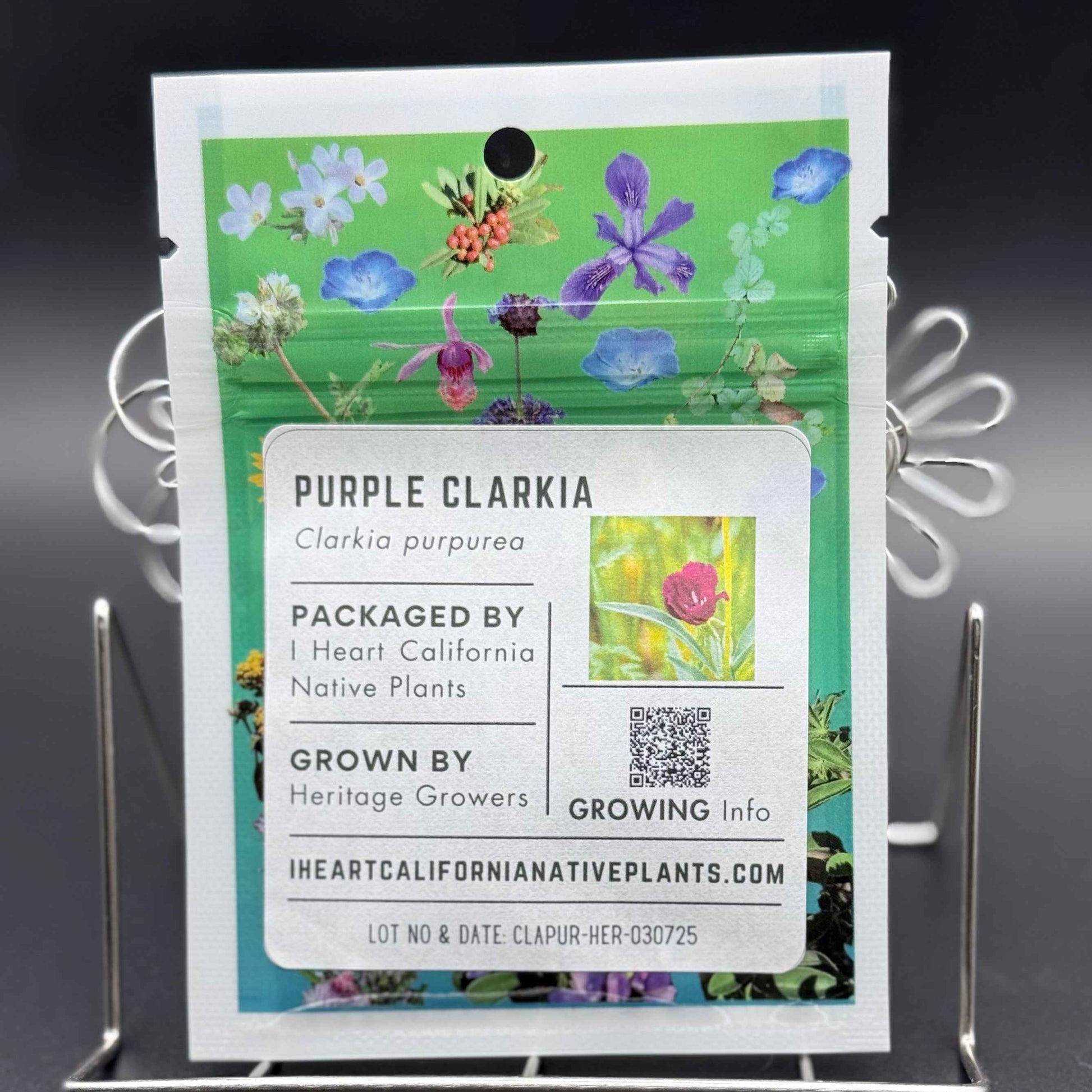 Clarkia purpurea - Purple clarkia