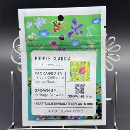 Clarkia purpurea - Purple clarkia