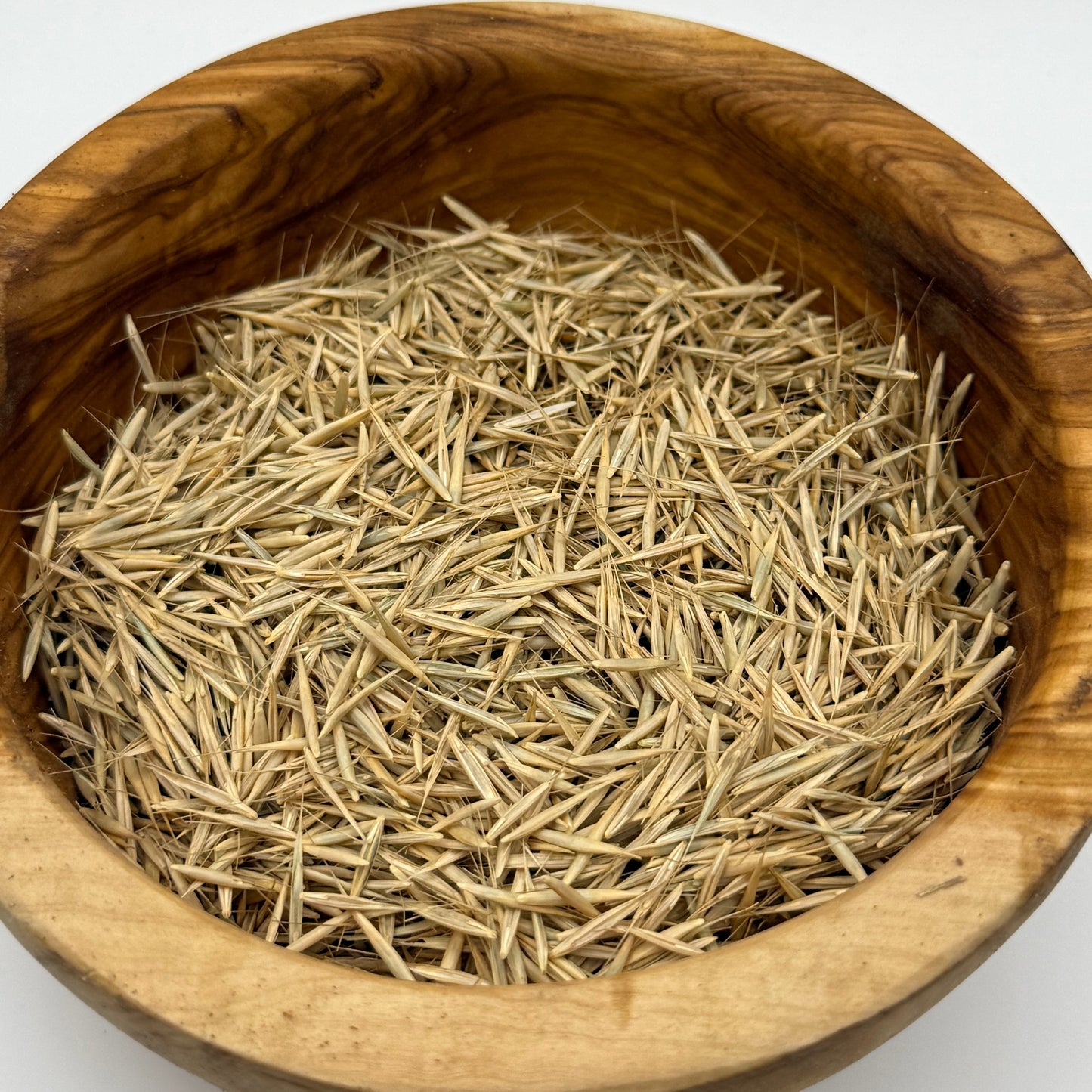 Elymus glaucus - Blue Wildrye