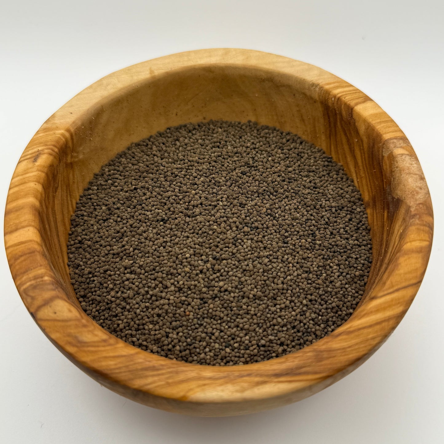 Eschscholzia caespitosa - Tufted Poppy