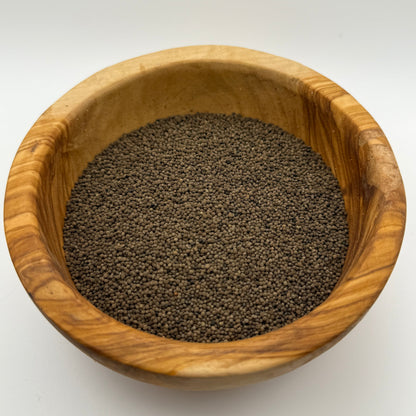 Eschscholzia caespitosa - Tufted Poppy