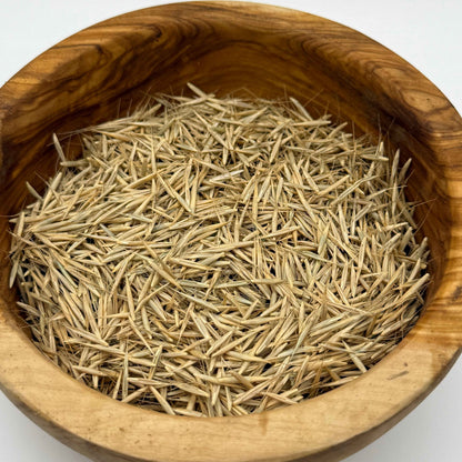 Elymus glaucus - Blue Wildrye seeds