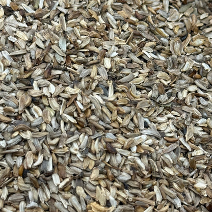 Grindelia stricta - Coastal Gum Plant