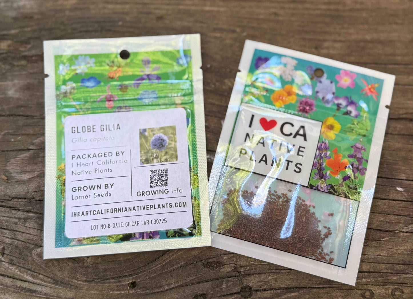 Gilia capitata - Globe Gilia seed packets