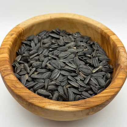 Helianthus annuus - Annual Sunflower