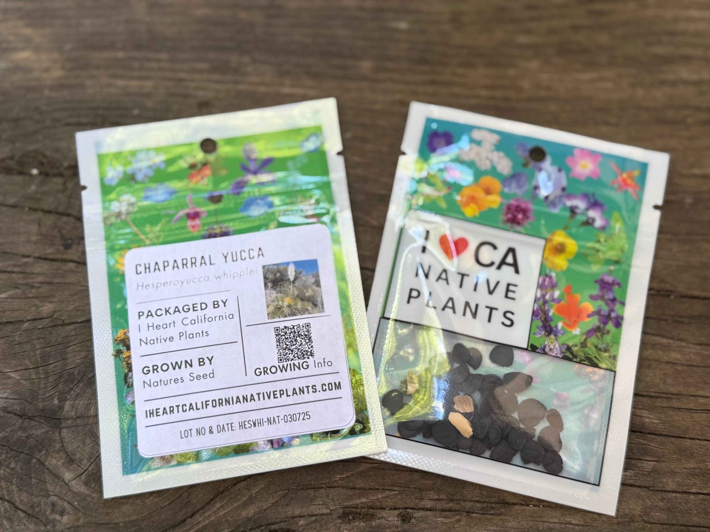 Hesperoyucca whipplei - Chaparral Yucca seed packets