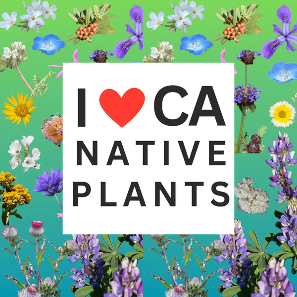 I Heart California Native Plants