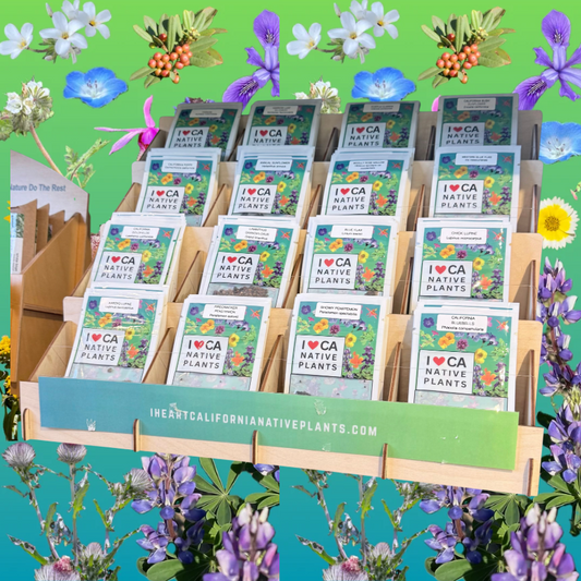 Retail display with 16 species (128 seed packets)