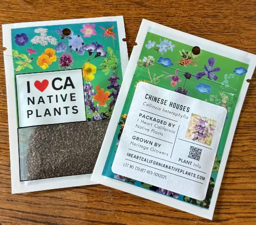 california native flower seeds Collinsia heterophylla