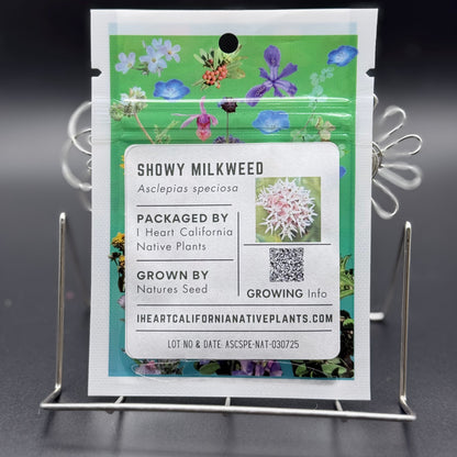 Asclepias speciosa - Showy Milkweed