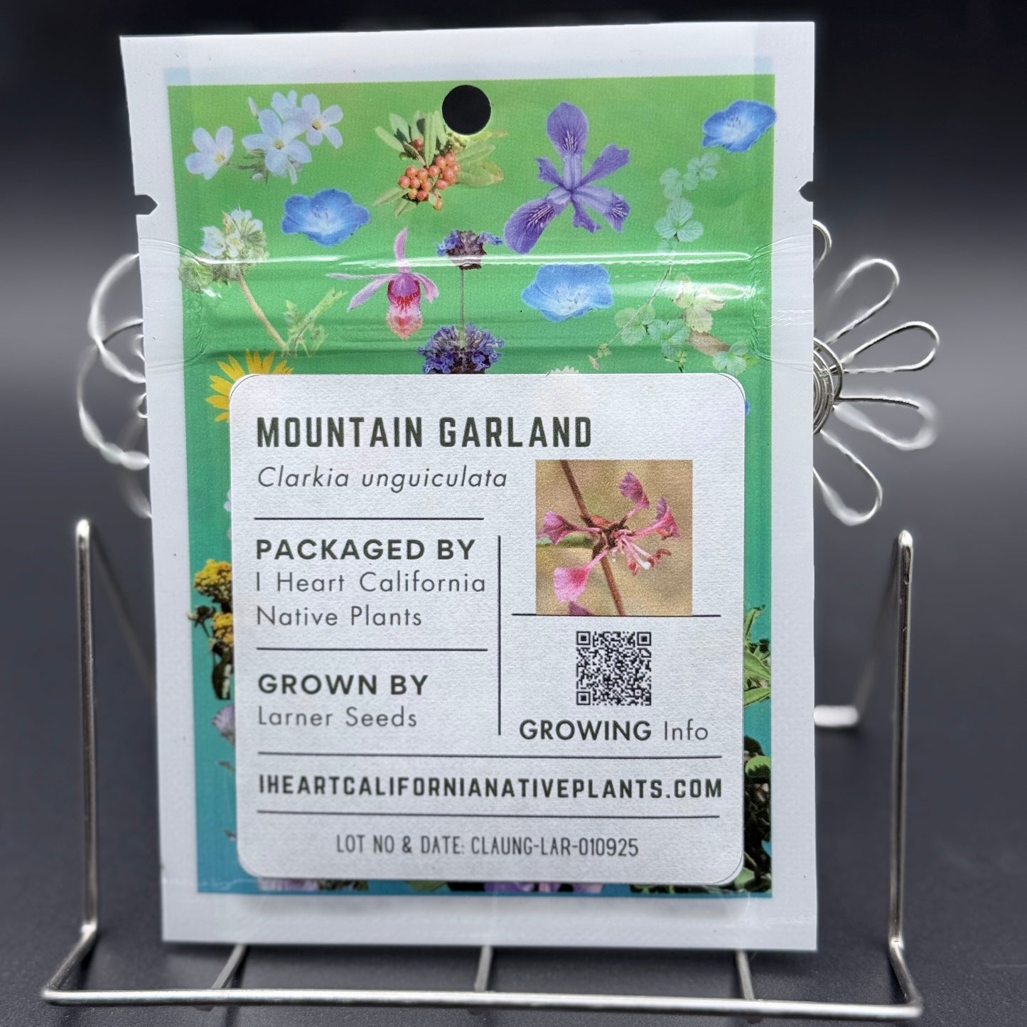 Clarkia unguiculata - Mountain Garland