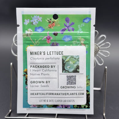 Claytonia perfoliata - Miner's lettuce