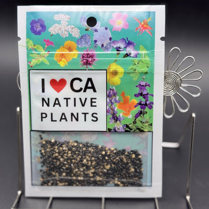 Claytonia perfoliata - Miner's lettuce