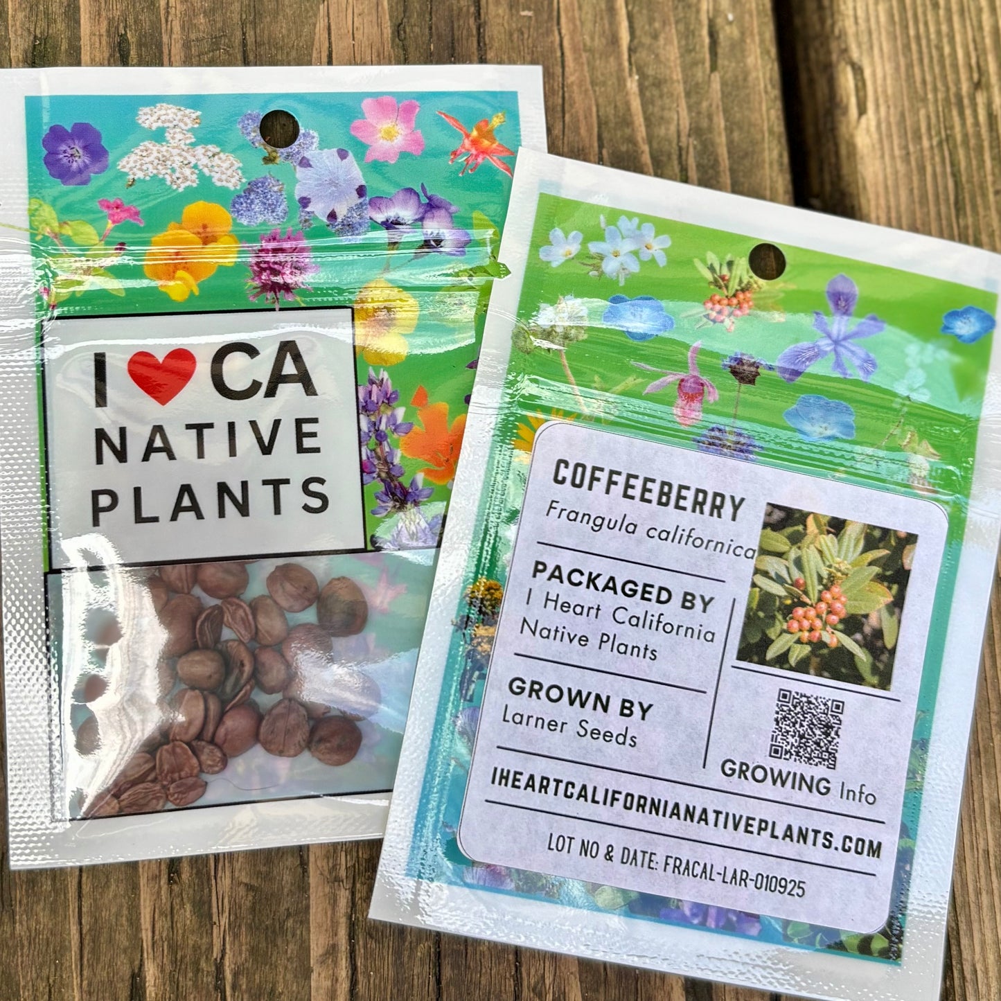 Coffeeberry (Frangula californica)