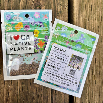 Chia Sage (Salvia columbariae)