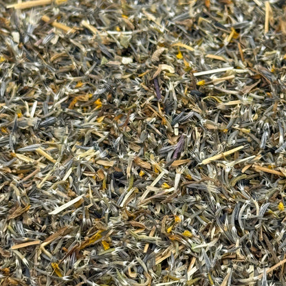 Layia platyglossa - Tidy Tips