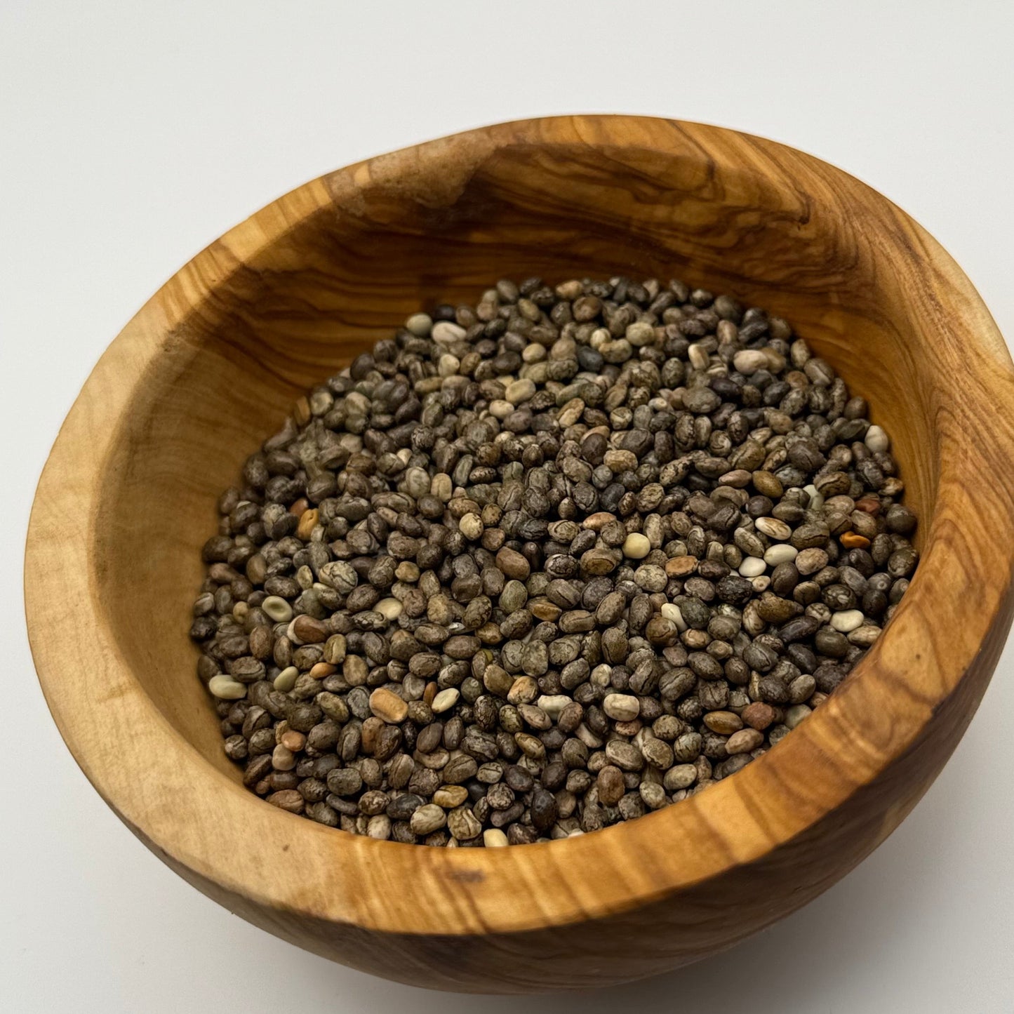 Lupinus succulentus - Arroyo Lupine