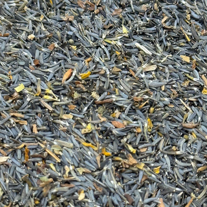 Lasthenia californica - California Goldfields